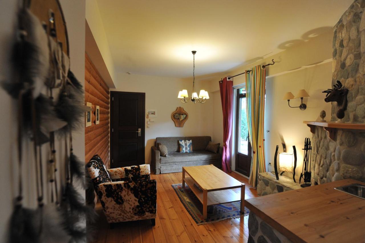 Vaela Hotel Cultural Resort Елатохори Екстериор снимка