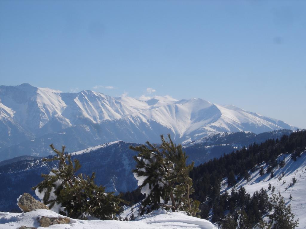 Vaela Hotel Cultural Resort Елатохори Екстериор снимка